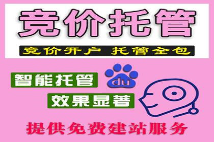成功案例：SEM开户助力中小企业崛起